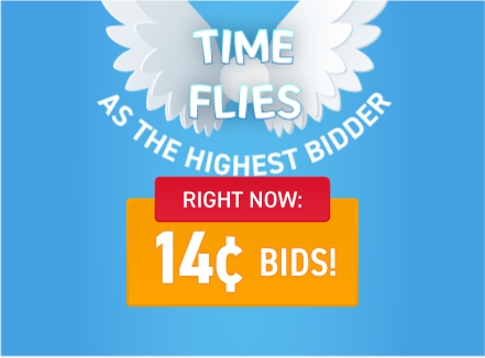 Time Flies as the Highest Bidder: Buy bids for only 14 cents each!
