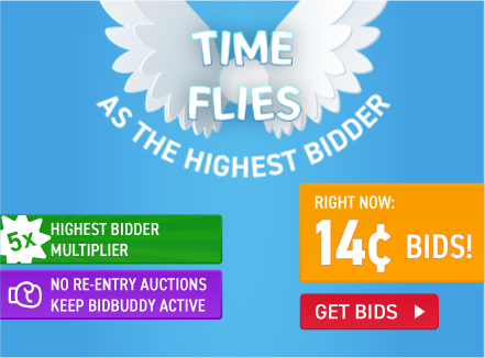 Time Flies as the Highest Bidder: Buy bids for only 14 cents each!